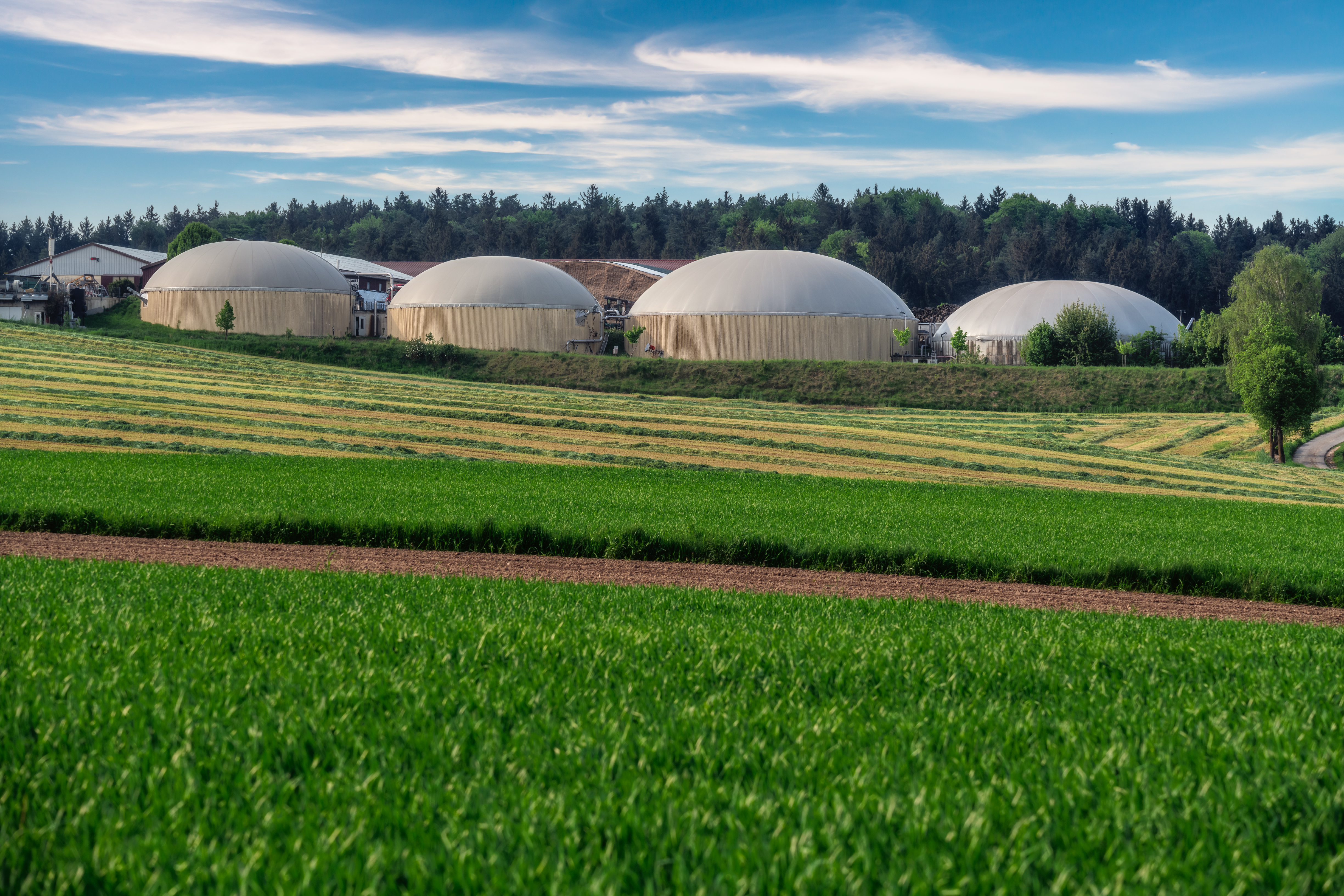 Biogaz będzie w najbliższych latach szybko zyskiwał na popularności i wkrótce może się stać najpowszechniej wykorzystywanym odnawialnym źródłem energii w Polsce.