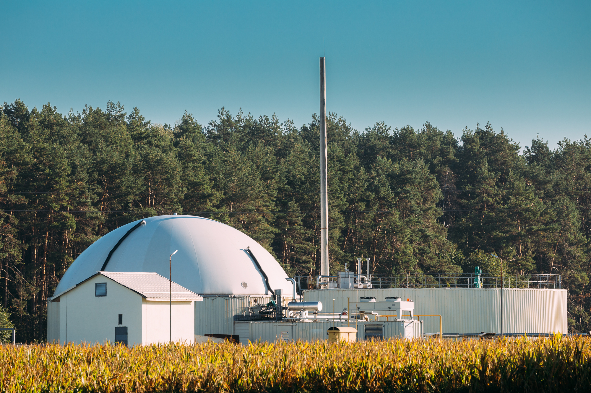 Na włączeniu produkcji biogazu do swojego miksu energetycznego mogą zyskać nawet niewielkie gospodarstwa rolne